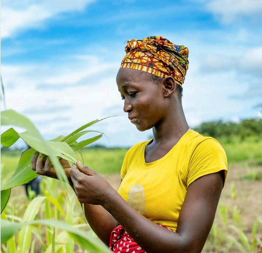 A Study of Institutional Agricultural Transformation Models in Africa